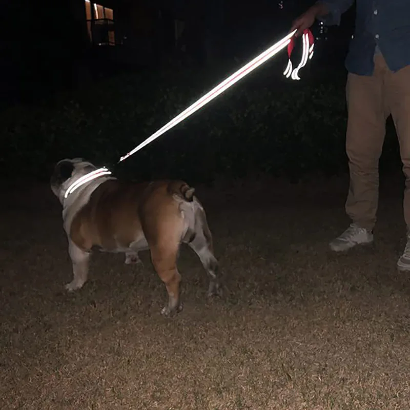 Correa arrastre perros y gatos – Reflejo nocturno paseo entrenamiento - imagen 2