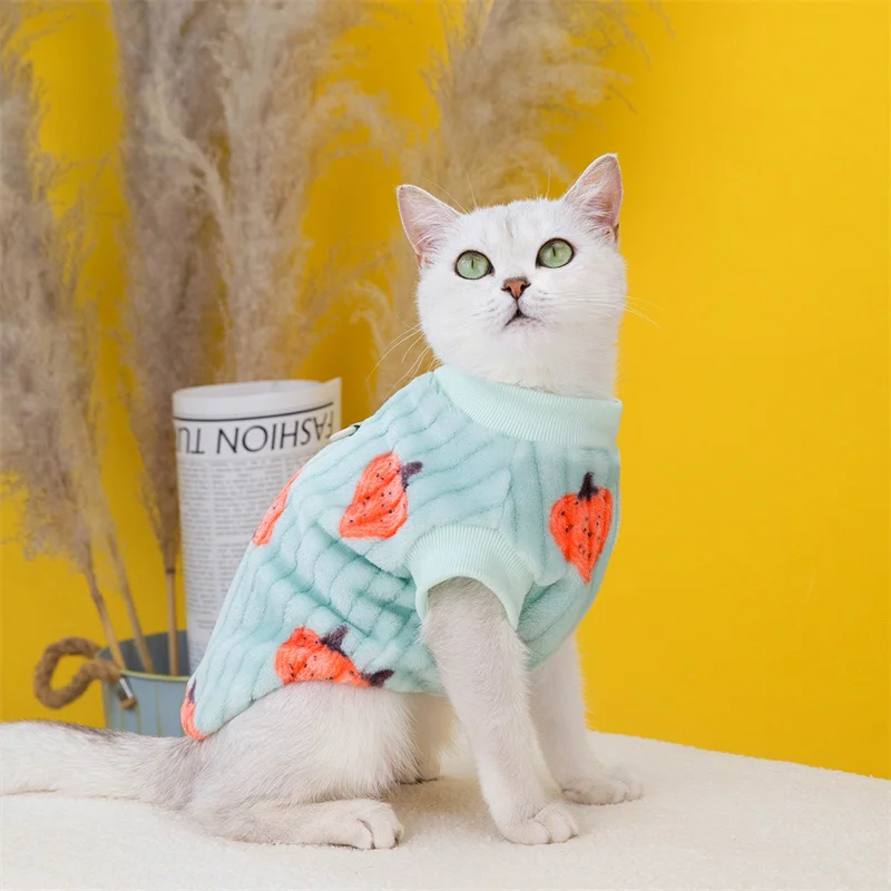 Suéter de gato Sphynx de estilo coreano con hebilla, ropa cálida de invierno para mascotas, Gotas Garfield, jerséis persa, ropa para mascotas - imagen 5