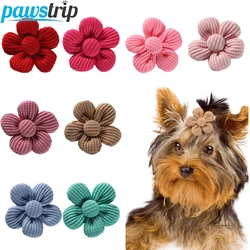 Lazos decorativos para pelo de perro – Set accesorios aseo