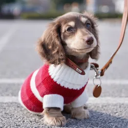 Suéter de invierno rojo para perros salchicha tejido a mano navideño