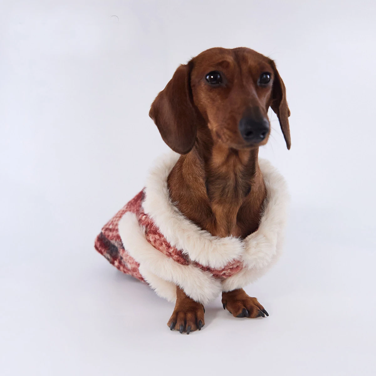 Chaleco de lana calido para perros teckel sin mangas estampado rojo