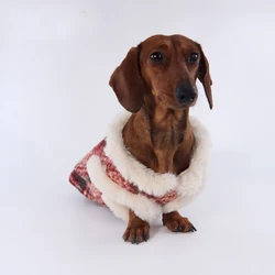 Chaleco de lana calido para perros teckel sin mangas estampado rojo