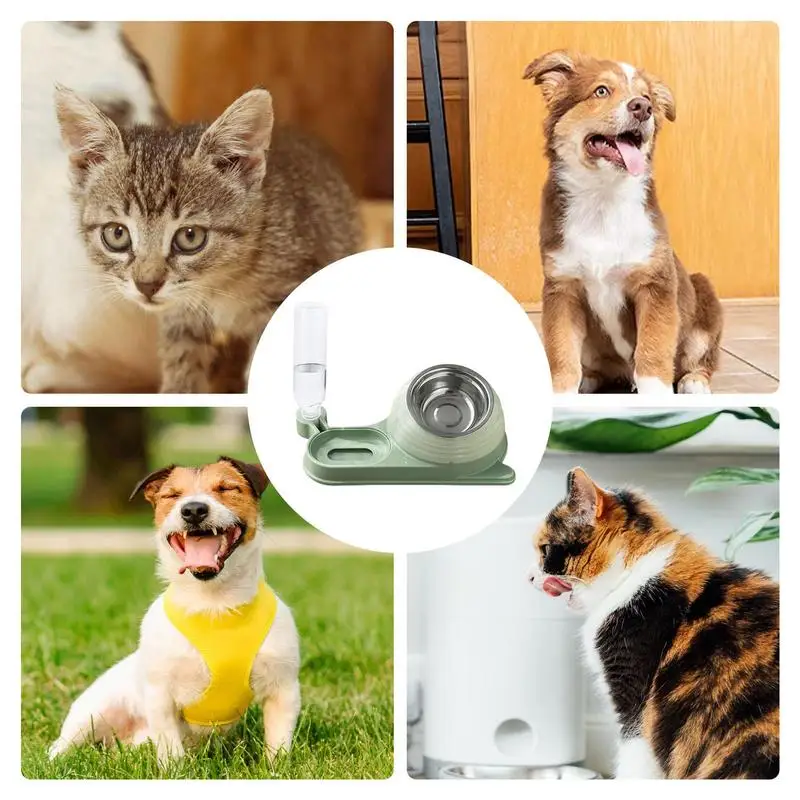 Tazón de comida para gatos con dispensador de agua, tazón inclinado para cachorros con tazón de agua, forma de caracol, plato elevado para mascotas, plato para comida húmeda y seca - imagen 5