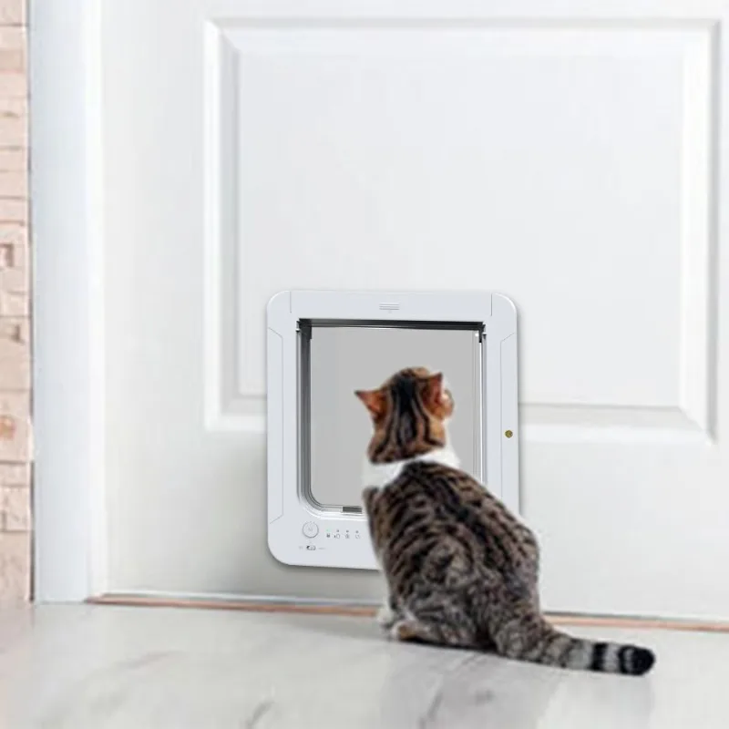 Puerta automática RFID para gatos con sensor de entrada - imagen 4