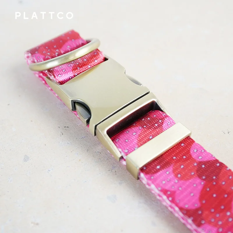 PLATTCO-collar de perro de diseño único, estampado de gelatina de fresa con hebilla de bronce de alta calidad, tamaño 5 PDC322Br - imagen 5
