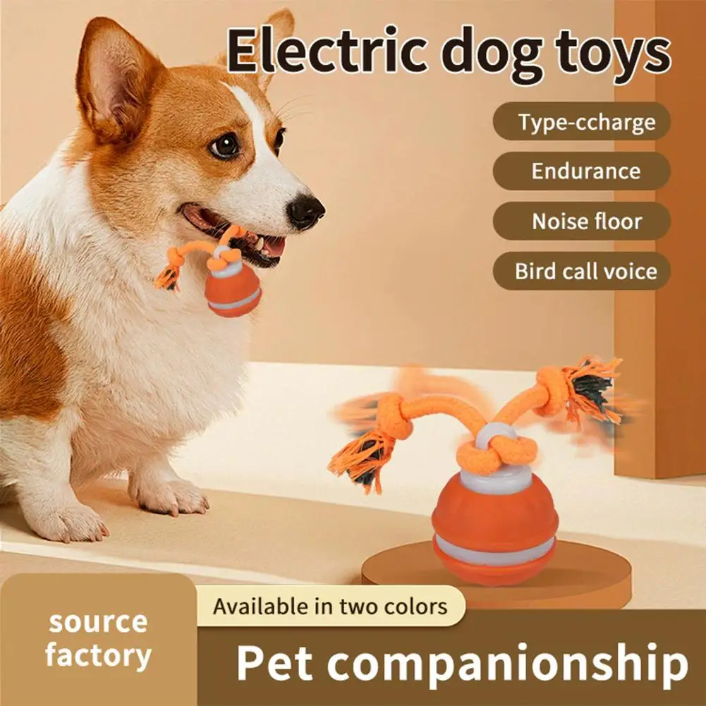 Pelota interactiva para perros con cuerda y movimiento en interiores - imagen 5