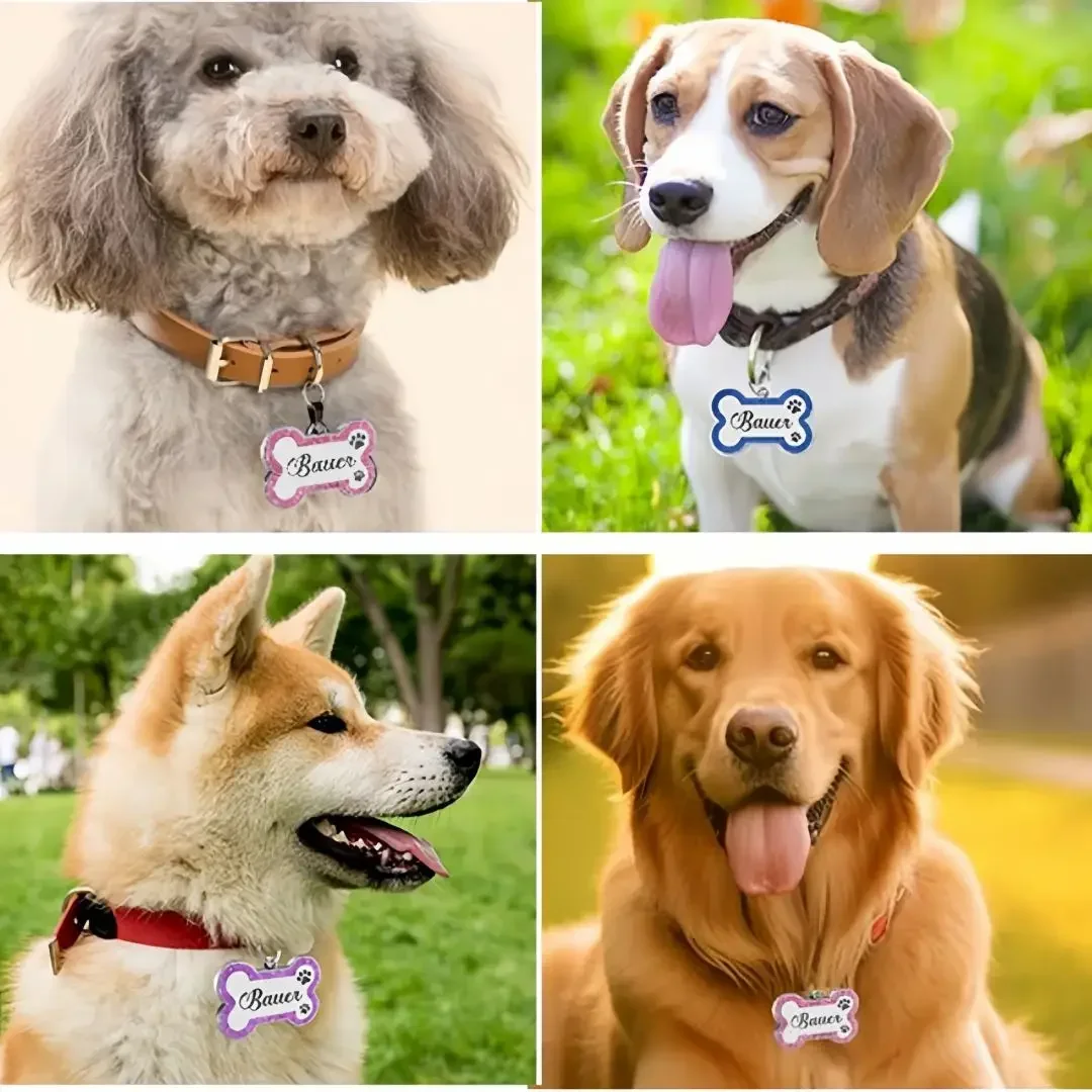 Etiqueta de identificación de perro, etiquetas de perro magníficas personalizadas para huella de perro pequeño y mediano, placa de etiqueta de nombre de mascota personalizada, accesorios de Collar - imagen 5