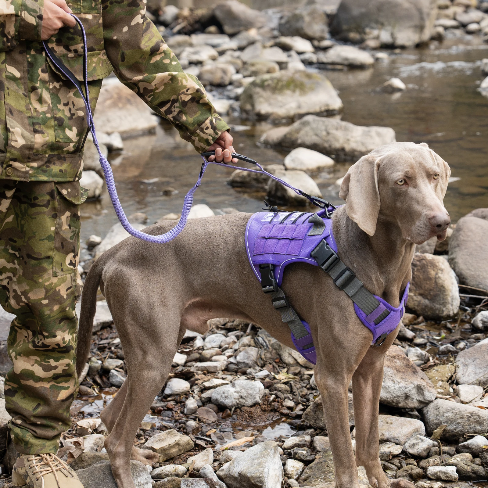 Arnés antitirones reflectante para perros: control cómodo en paseos - imagen 5