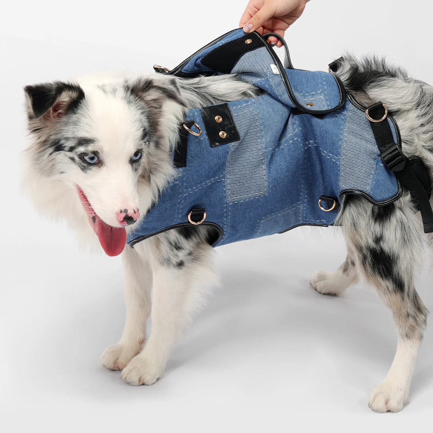 Mochila transportín para perros: bolsa viajera con doble correa - imagen 5
