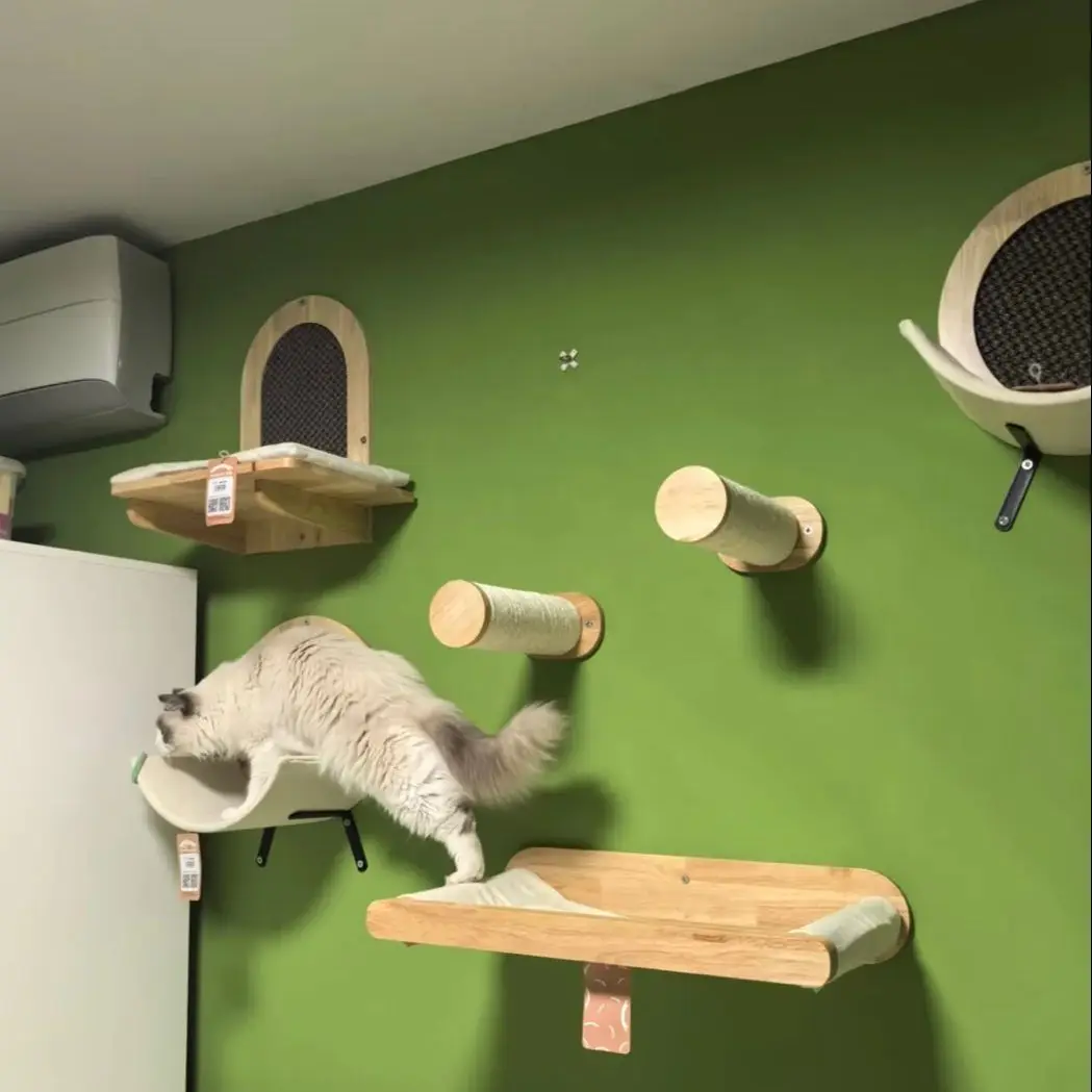 Marco de escalada de madera para gatos, montado en la pared con poste rascador para gatos, plataforma para saltar nido de juguete de pared y estantes de escalera de madera - imagen 4