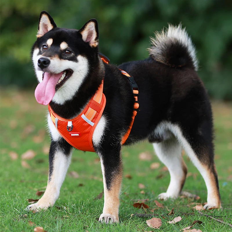 Arnés Ajustable sin Tirones con Chaleco Reflectante para Perros Medianos y Grandes - imagen 5