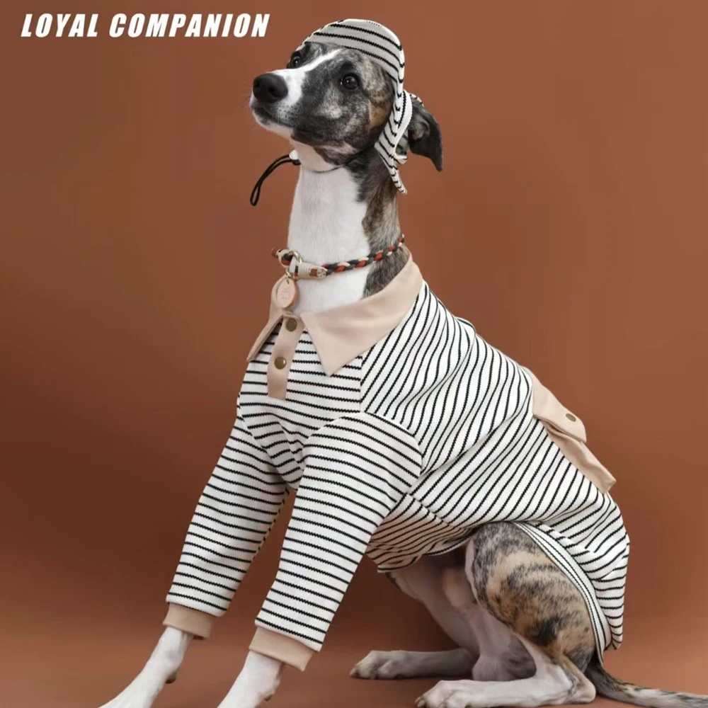 Polo a rayas con sombrero para Greyhound, abrigo de algodón suave de manga larga, traje para medios pequeños, perros Whipbit grandes, primavera y verano