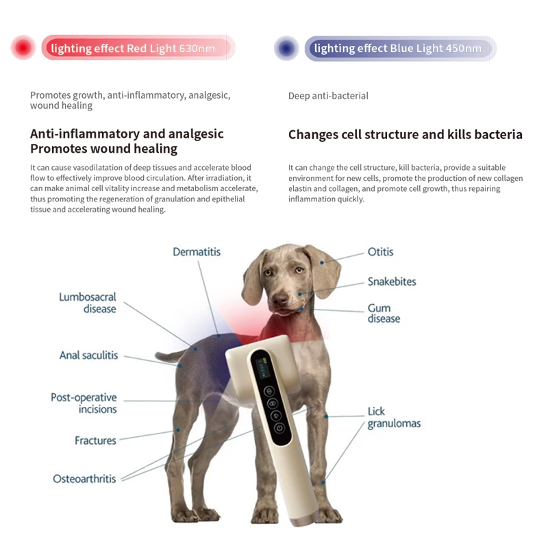 Dispositivo de terapia láser Led para mascotas, dispositivo de terapia de luz roja y azul para piel de perro y gato, herramientas de alta calidad - imagen 2