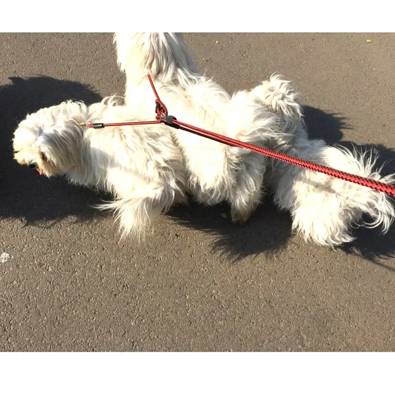 UT8TAl8XSlaXXagOFbXD 