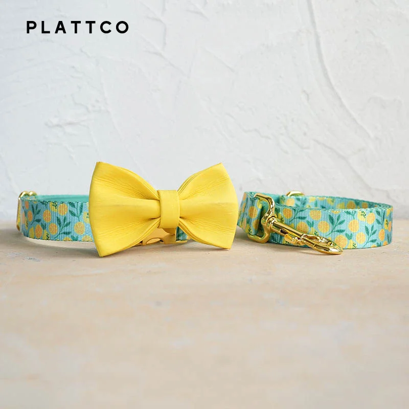 Bow Tie Collar Leash