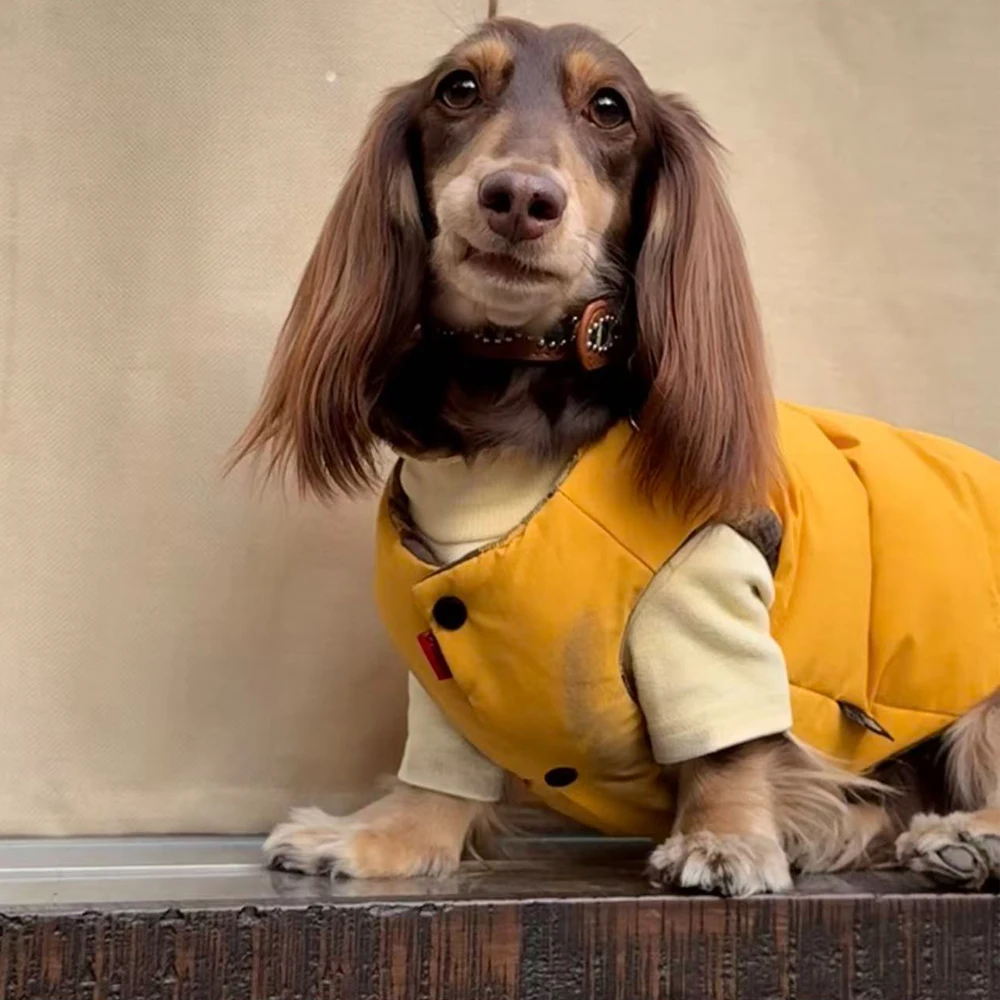 Chaqueta forro polar cortavientos con botones perro Dachshund - imagen 5