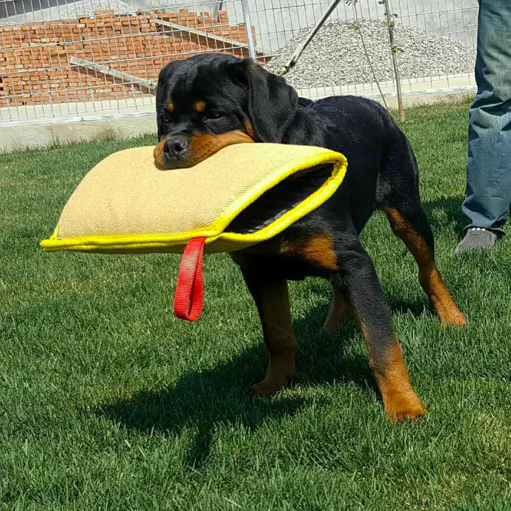Mangas para mordeduras de entrenamiento de perros, alfombras para mascotas, funda protectora para brazos de juguete para entrenamiento de mordeduras de perros jóvenes, pastor alemán Malinois - imagen 5