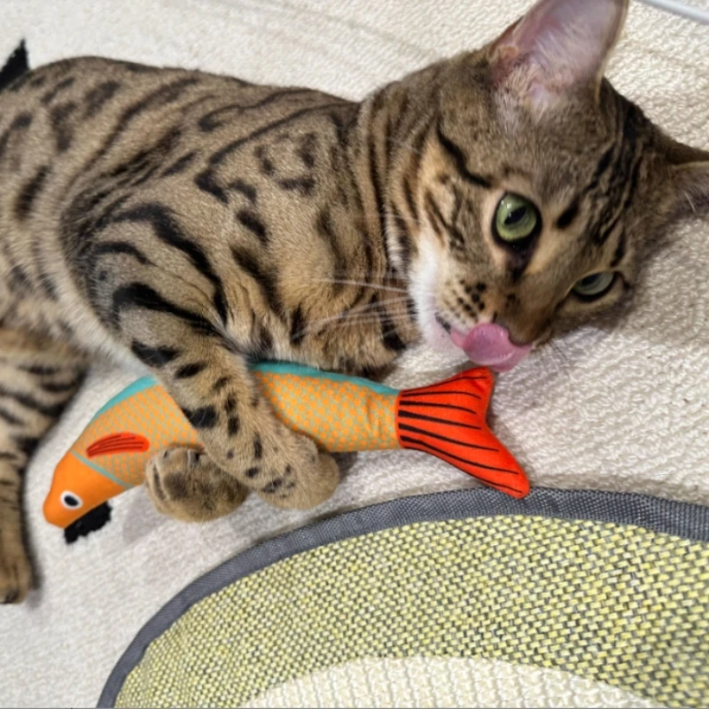 Juguetes interactivos para gatos con pez chirriante con hierba gatera, juguetes masticables de felpa realistas para gatos de interior, juguetes de almohada duraderos y lindos - imagen 5
