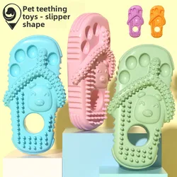 Palo masticable dental para perros – Juguete anti sarro