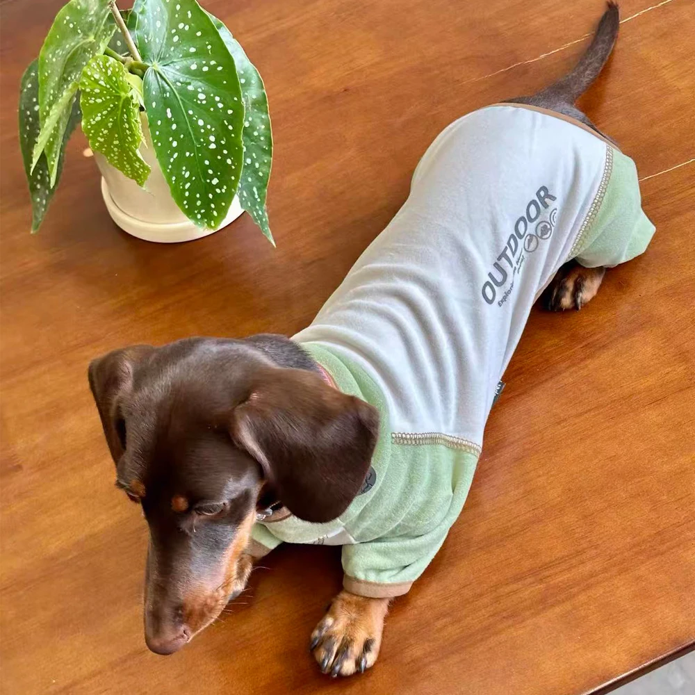 Abrigo lana verde para perro Dachshund – traje 4 patas - imagen 2
