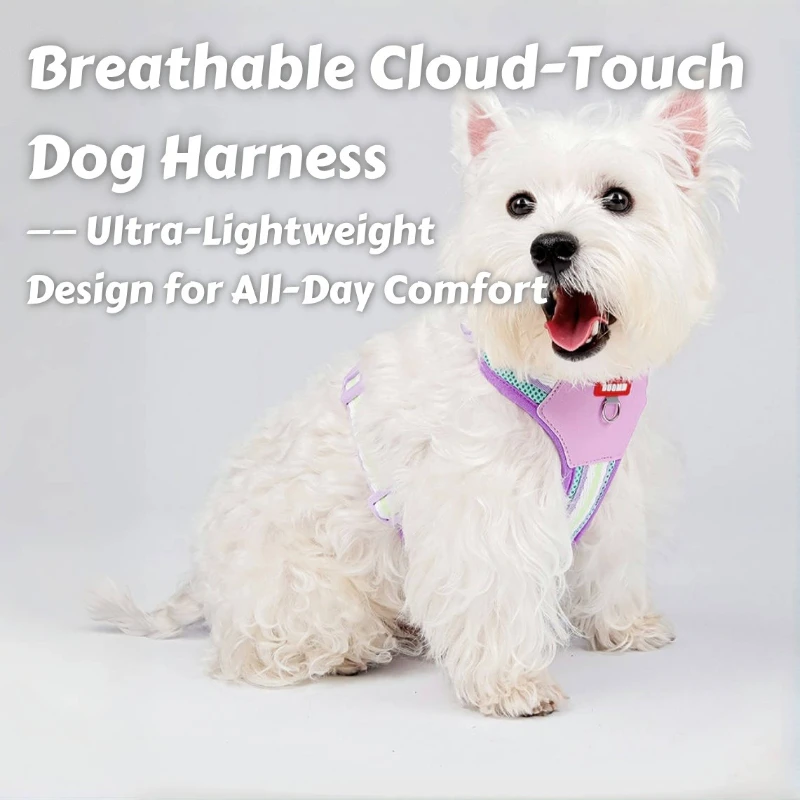 Arnés sin escape para perros de verano: malla refrescante estilo H con tiras reflectantes y detalles de neón, diseño ligero a prueba de escape - imagen 4