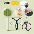 Green Brush Scissor