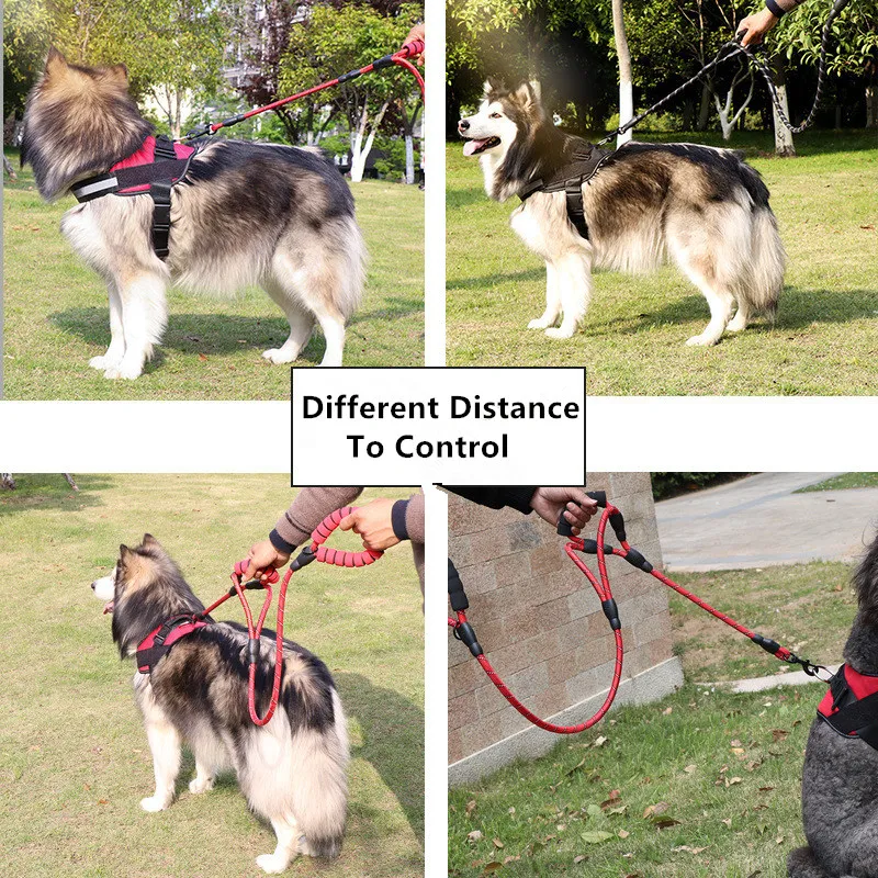 Correa reflectante para perros grandes, correa de nailon suave para caminar, producto para mascotas, doble correa para entrenamiento de perros al aire libre - imagen 3