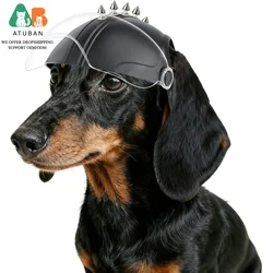 Casco protector con gafas para perros pequeños, ideal para ciclismo
