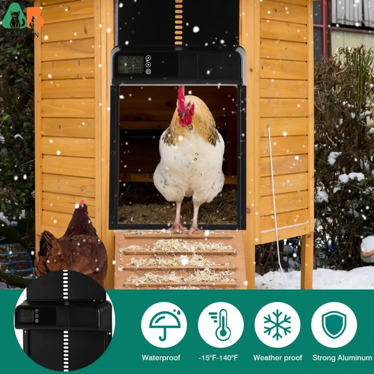 ATUBAN-abridor automático de puerta de gallinero, con pantalla LCD grande, antipellizcos, con temporizador - imagen 4