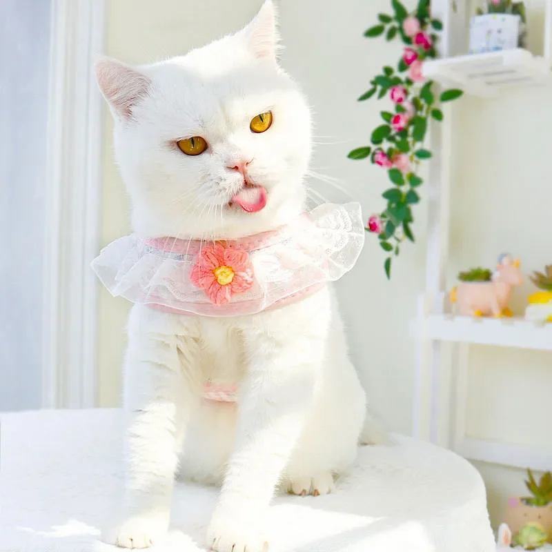 Arnés de encaje Noble para perros, correas ajustables para el pecho, chaleco cómodo para mascotas para perros pequeños, gatos, cachorros, suministros para mascotas, accesorios - imagen 3