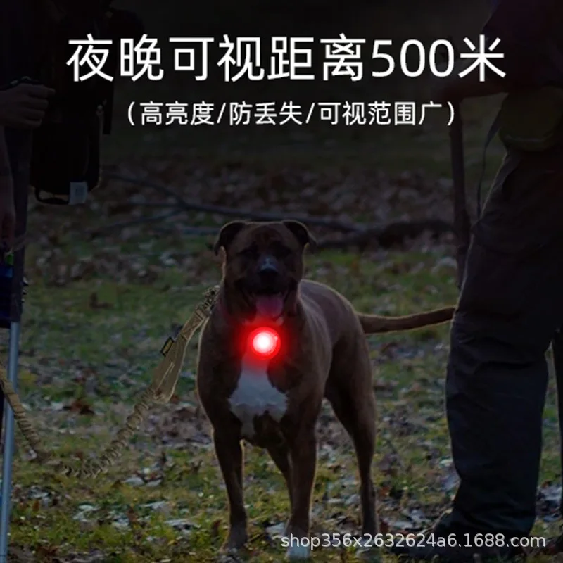 Luz LED recargable para perros – visibilidad y seguridad en paseos nocturnos - imagen 3
