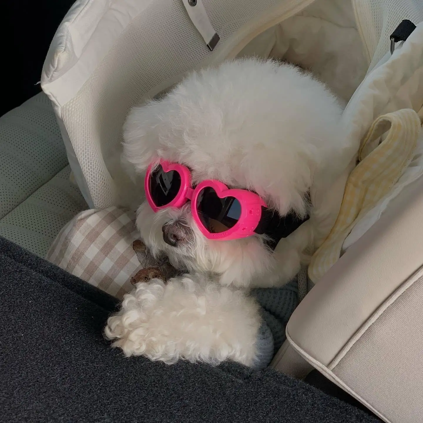Gafas para mascotas INS, gafas de sol en forma de corazón, gafas resistentes al viento y a los rayos UV, adecuadas para perros pequeños, gatos, accesorios para perros - imagen 2
