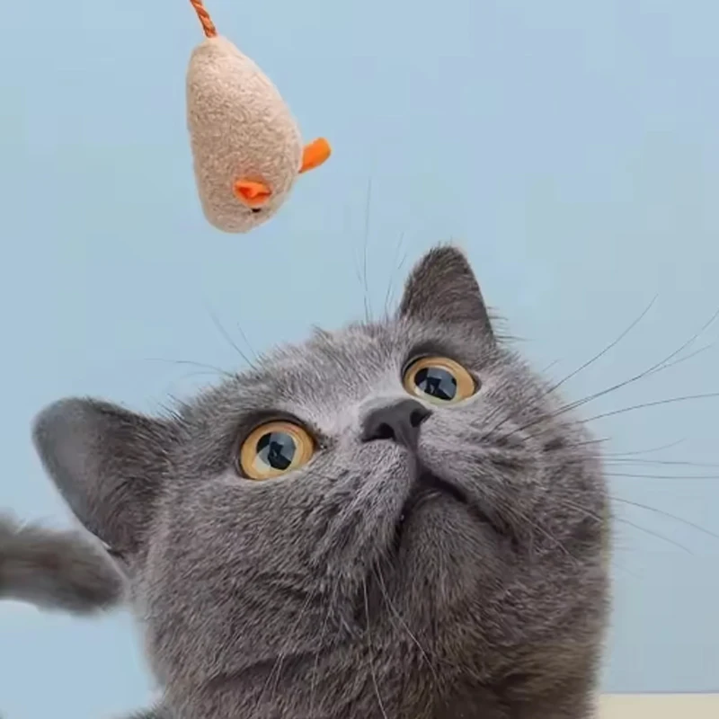Juguete pequeño interactivo para mascotas, nuevo juguete para gatos casero, ratón de peluche, bonito juguete de modelado para gatitos, juguete Universal de menta, juguetes para gatos - imagen 5