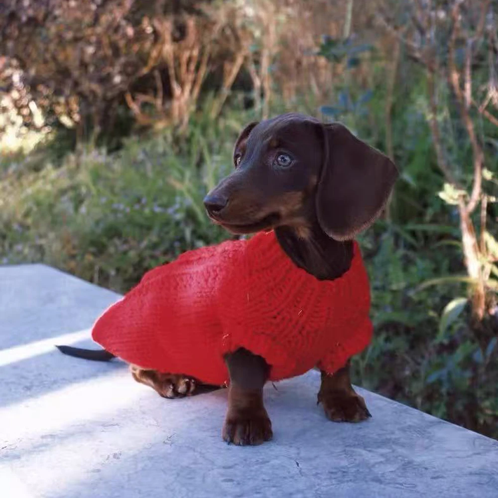 Ropa roja de Año Nuevo para perros pequeños salchicha, abrigo de lana de felpa, suéter cálido para perros Wiener, prendas de vestir de invierno para perros pequeños de tejón - imagen 3