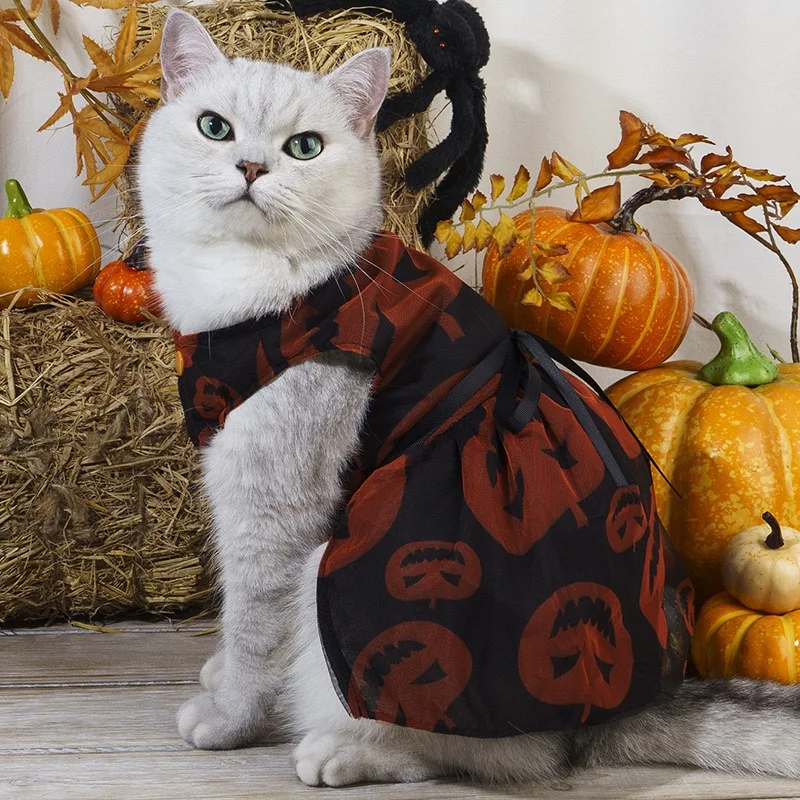 Vestido de disfraz de Halloween de calabaza oscura para niña, chaleco con nudo de lazo negro para gato, monos, velos góticos en capas, ropa para perros pequeños y medianos