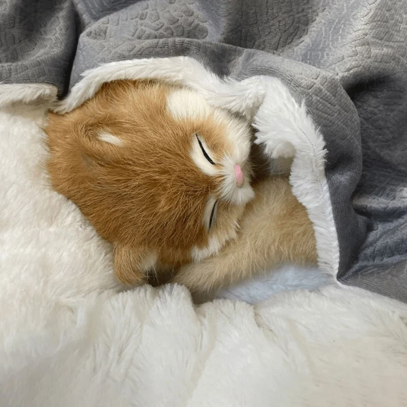 Cama ortopédica para perros, cachorro, gato, casa de invierno, estera cálida, cojín, perrera para interior, cama para perros, sofá para mascotas, productos, casas y hábitats - imagen 3