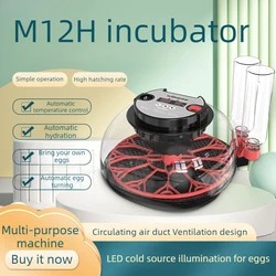 Incubadora automática para 12 huevos con LED y tapa transparente