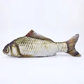 20cm grass carp