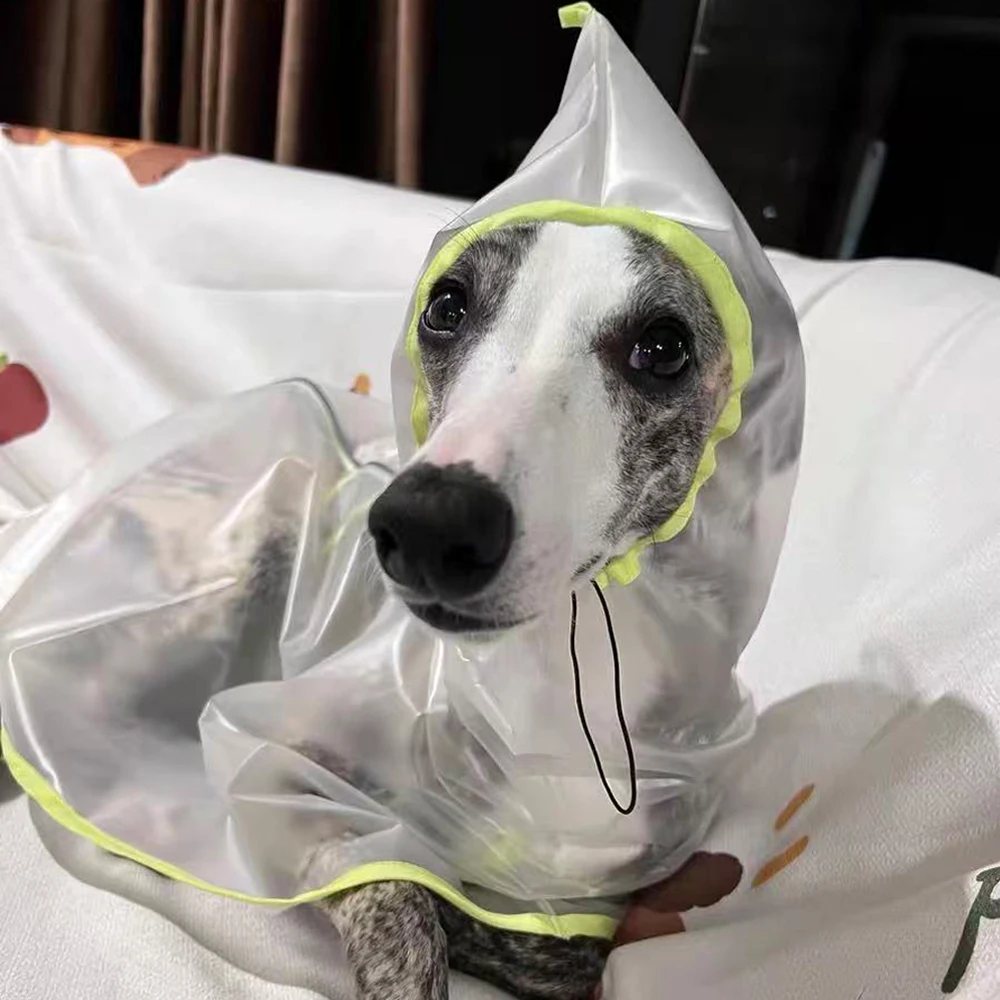 Chubasquero ligero transparente para mascotas, Ropa para perros pequeños, Chubasquero italiano para galgo, accesorios para perros, Ropa De Perro - imagen 4