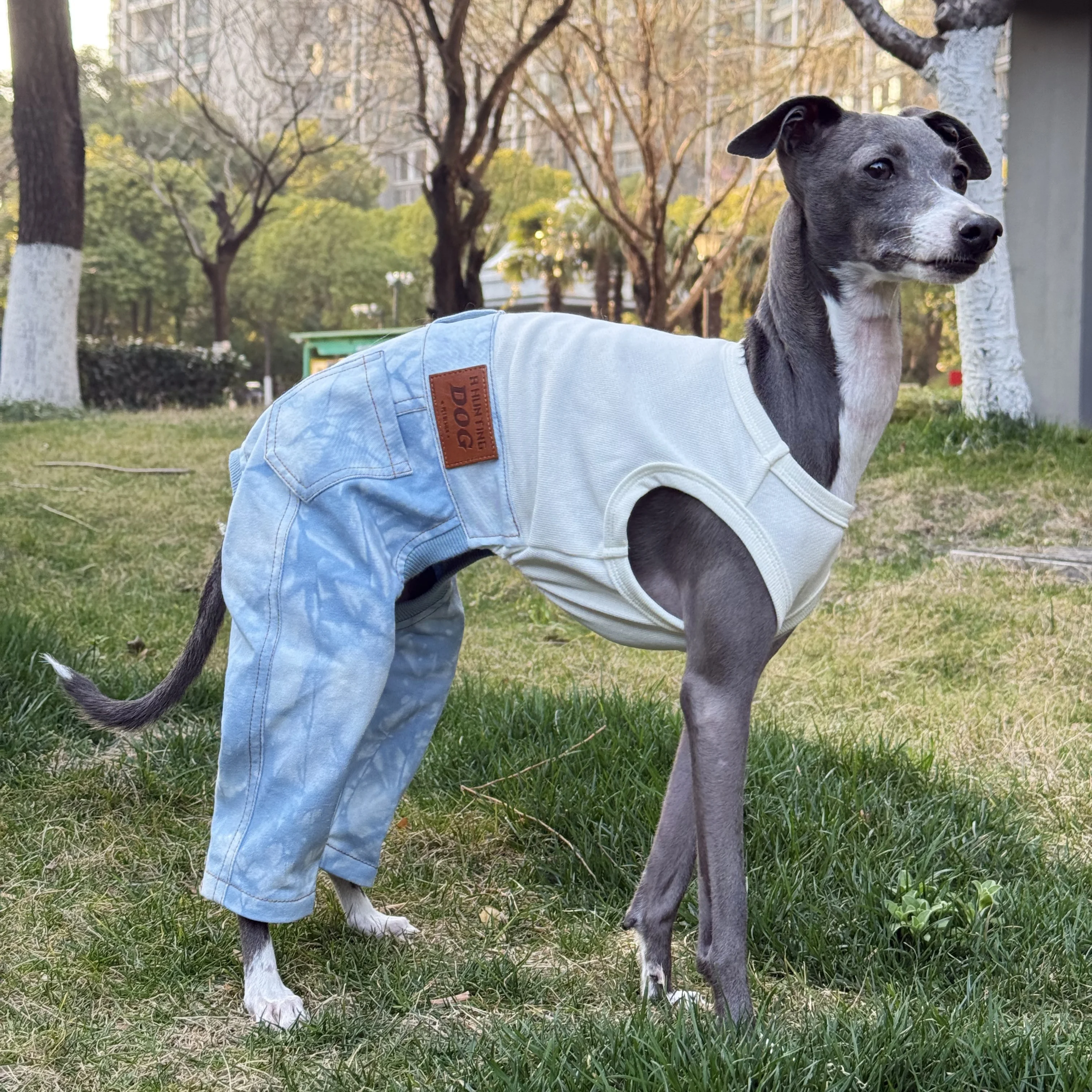 Ropa para Perros Mono de mezclilla azul de algodón primavera de una pieza Camiseta beige de alta elasticidad Pantalón negro para disfraces de caniche caniche italiano verde