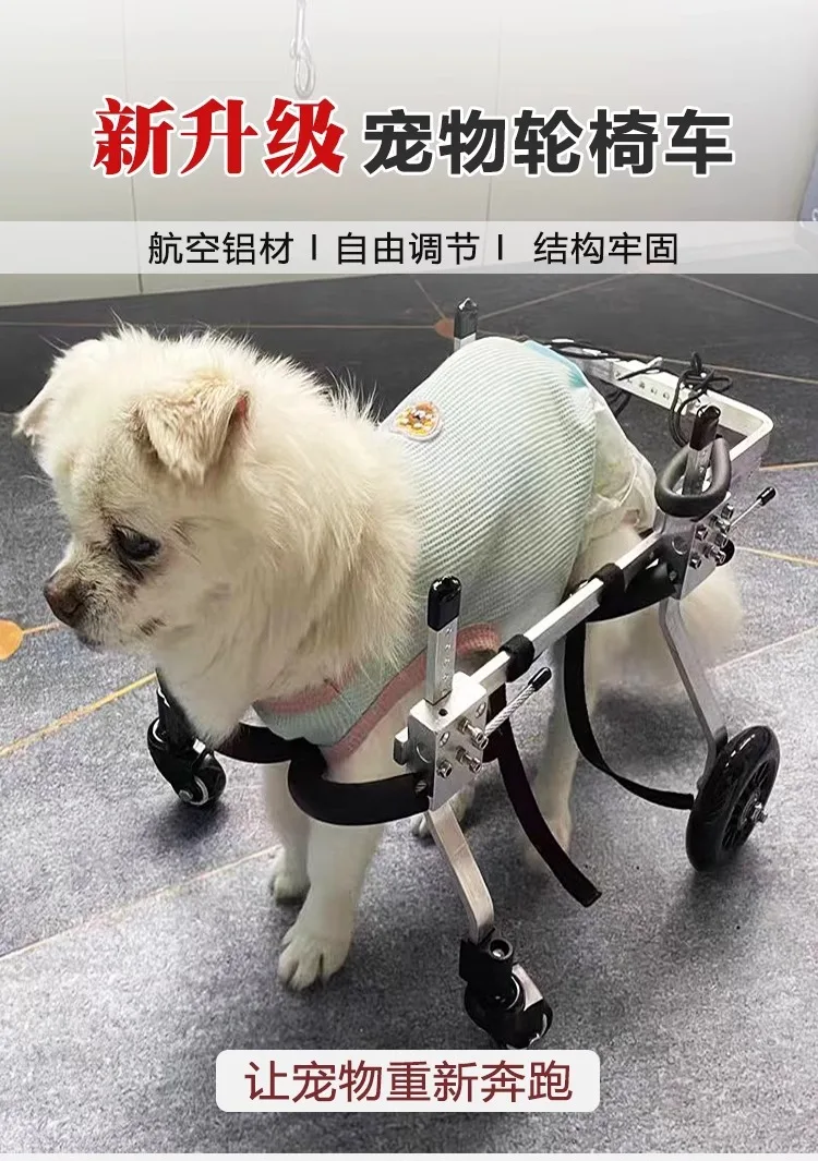 Silla de ruedas para perros montada con estructura metálica