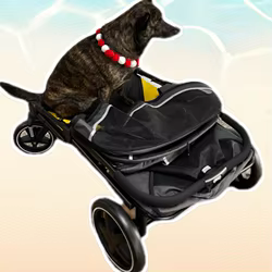 Carrito de paseo para perros y gatos, grande, plegable y portátil