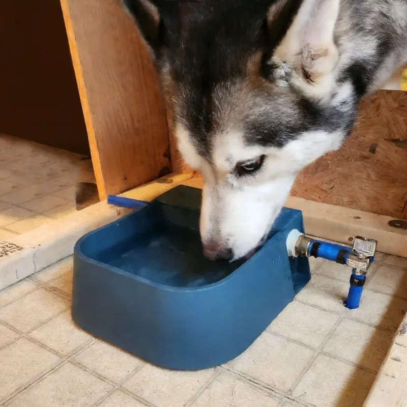 Fuente de agua automática para gatos, perros y conejos - imagen 4