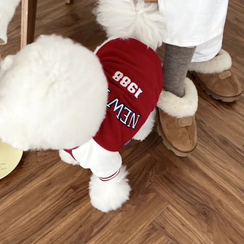 Chaqueta protectora para perros – Sudadera cómoda para paseo - imagen 4