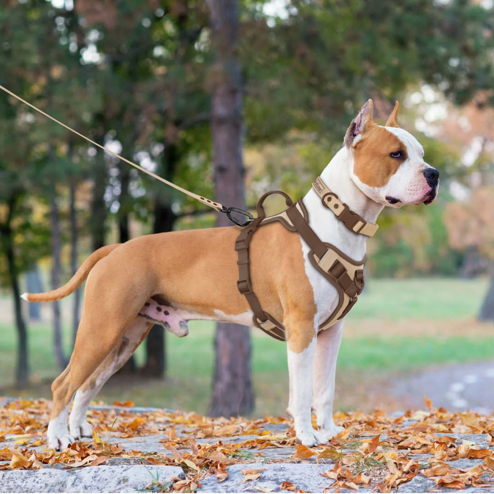 Arnés sin tirones acolchado para perros – Ajustable y comfortable - imagen 2