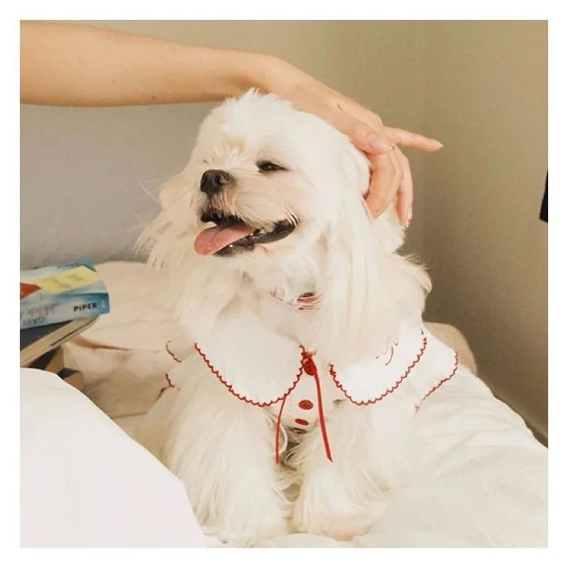 Lindo vestido de princesa para perro con lazo de verano, chaleco para cachorro, jersey fino de peluche, ropa para perro azul marino, hermoso traje de marinero, abridor de mascotas - imagen 5