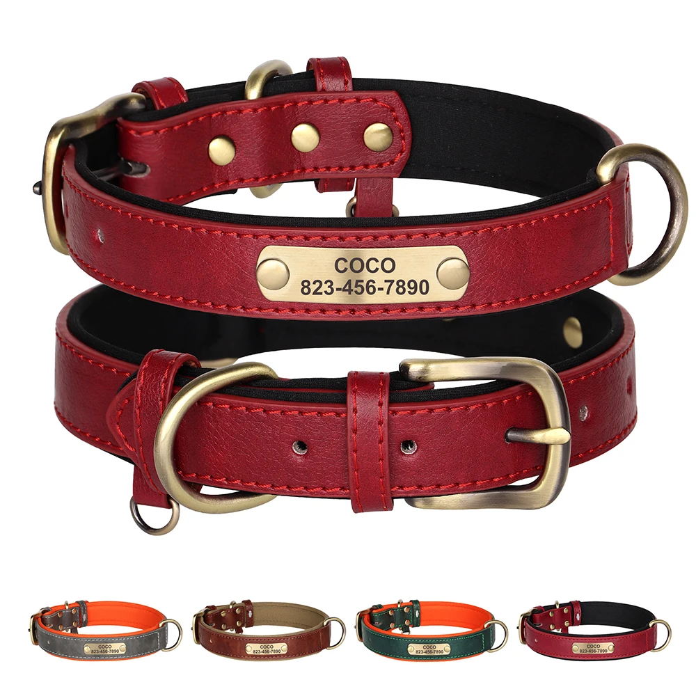 Collar perro personalizado - vista principal