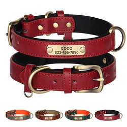 Collar identificativo personalizado de cuero para perro