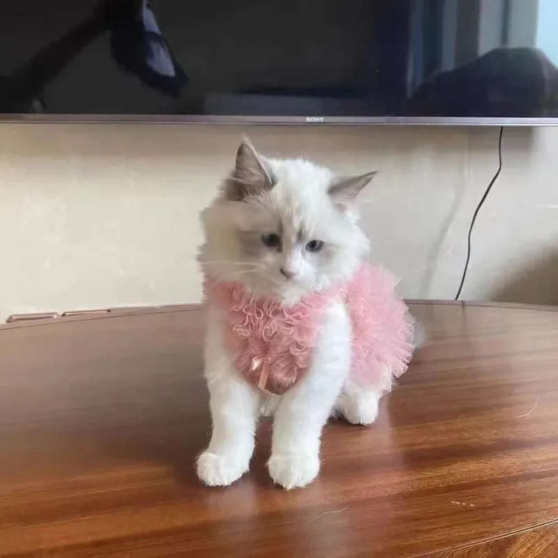 Vestido de princesa para mascotas, ropa fina de encaje con forma de corazón para cachorros, falda de moda para gatos, ropa para gatos, vestido para perros y mascotas, falda con tirantes - imagen 3