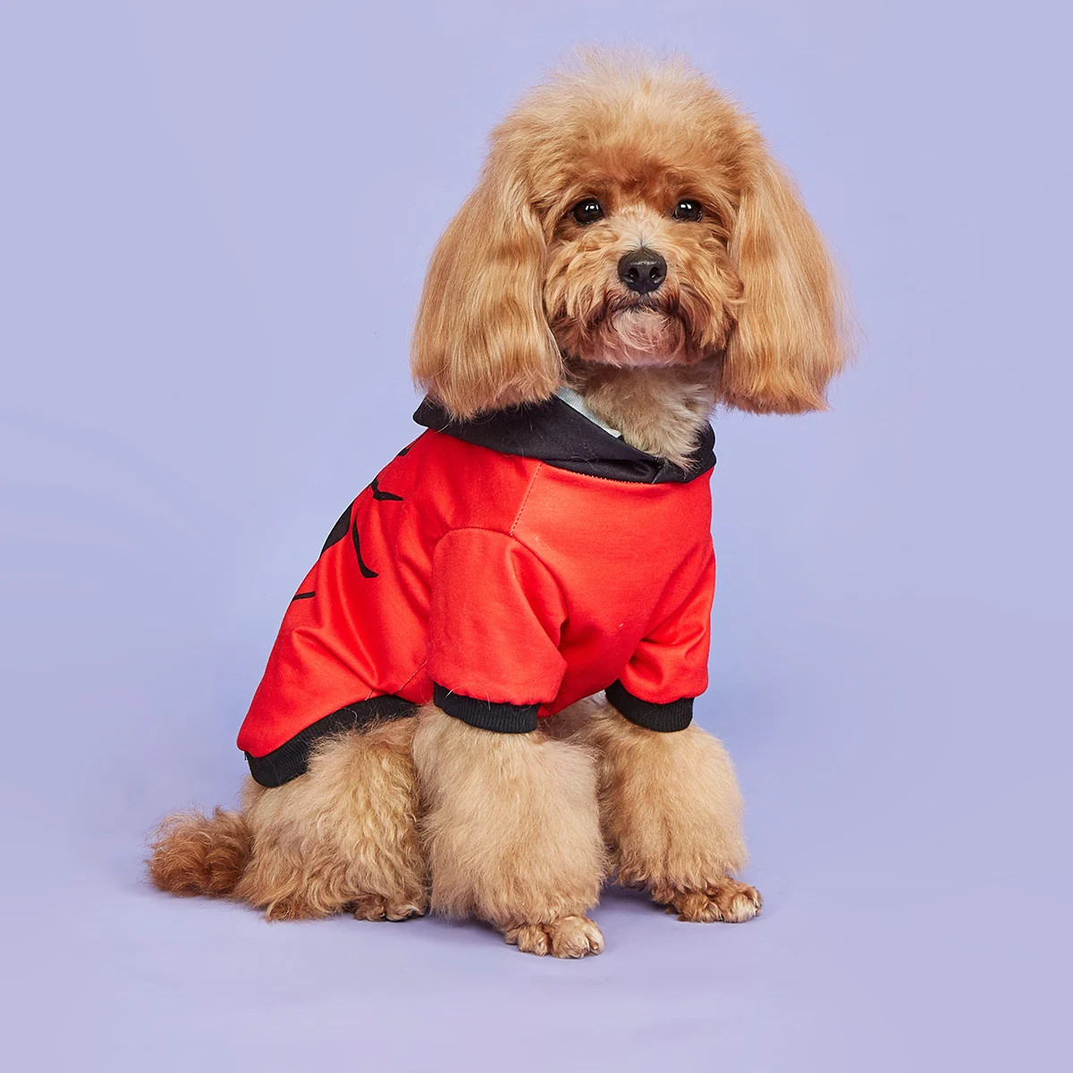 Sudaderas con capucha de Halloween para perros y gatos, camisa de araña aterradora, sudaderas para perros, ropa cómoda para mascotas, cuello alto, cachorro para vacaciones de Halloween - imagen 2